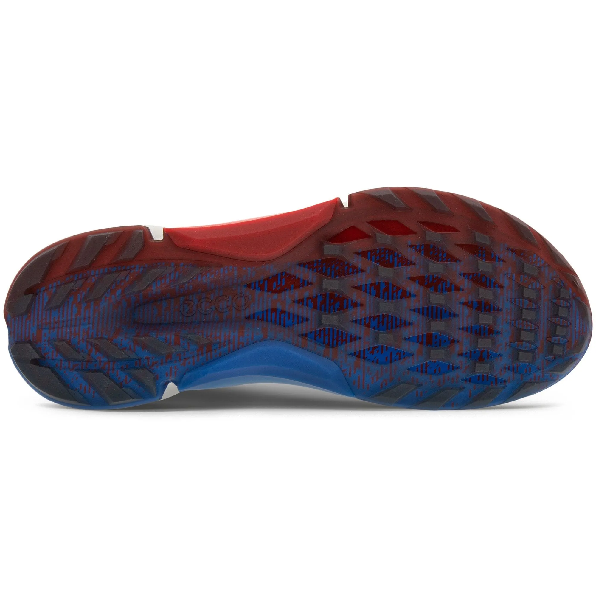 Ecco Golf Biom H4 (M)