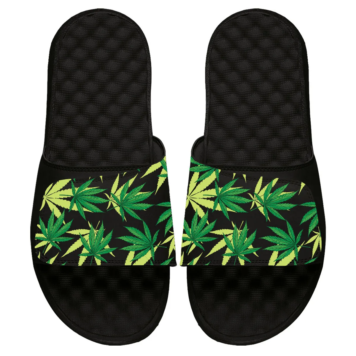 Herb Loudmouth Pattern Slides