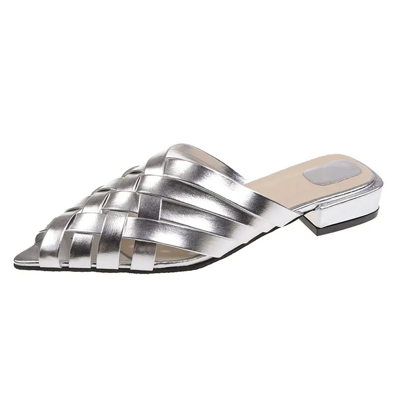 Hnzxzm Gold Silver Low Heels Slippers Women Summer Pointed Toe Thick Heeled Gladiator Sandals Woman Brand Designer Mules Slipper
