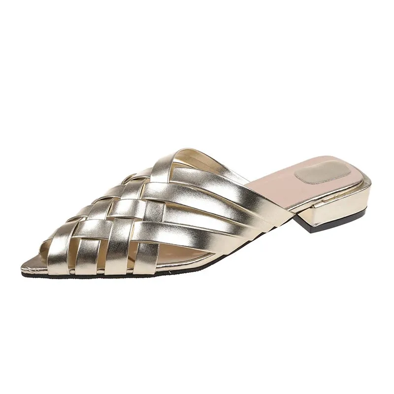 Hnzxzm Gold Silver Low Heels Slippers Women Summer Pointed Toe Thick Heeled Gladiator Sandals Woman Brand Designer Mules Slipper
