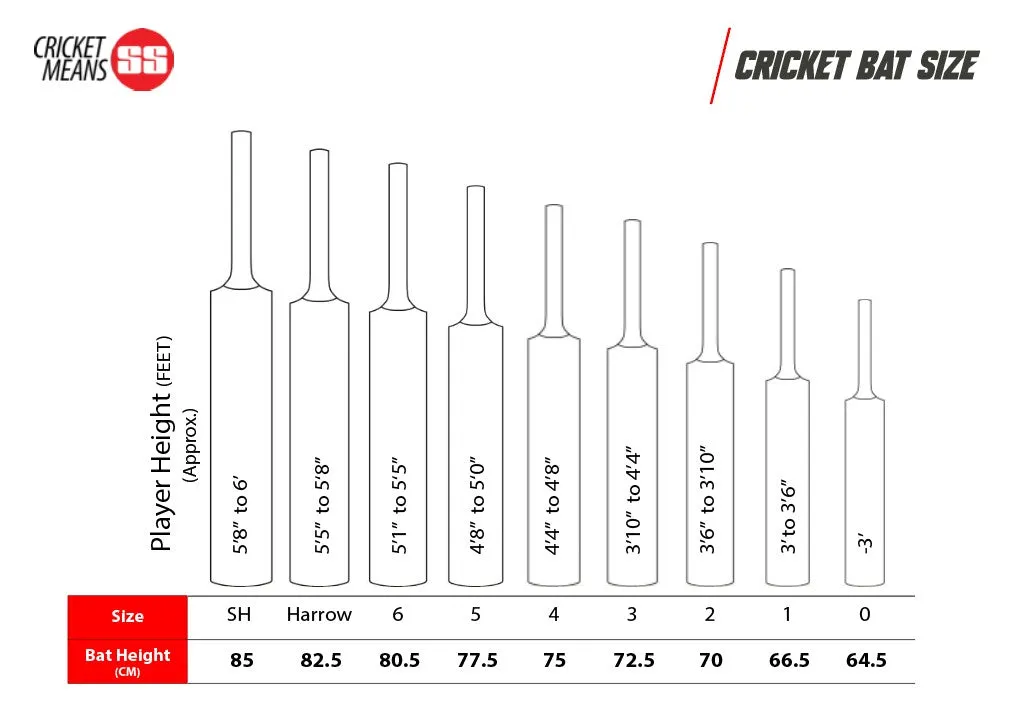 SS Gladiator English Willow Bat | Cricket | KIBI SportS